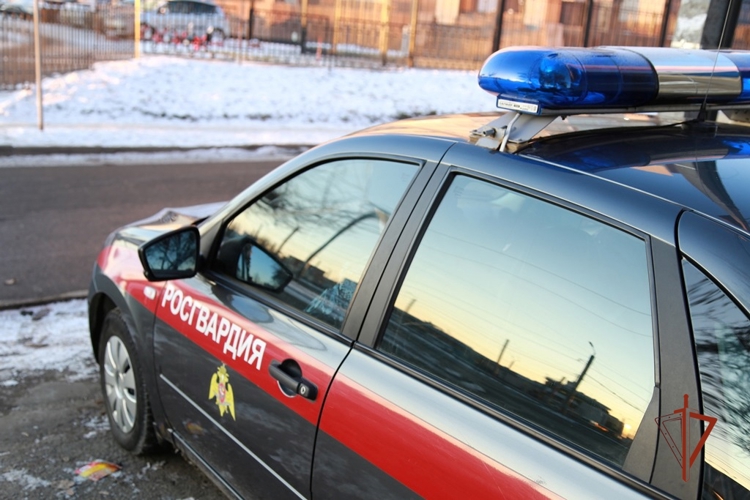 РОСГВАРДЕЙЦЫ ПРЕСЕКЛИ КРУПНУЮ КРАЖУ В МАГНИТОГОРСКОМ ГИПЕРМАРКЕТЕ