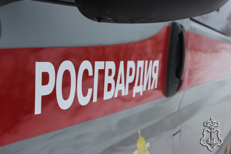 В ЧЕЛЯБИНСКЕ РОСГВАРДЕЙЦЫ ЗАДЕРЖАЛИ ДВУХ ПОДОЗРЕВАЕМЫХ В КРАЖАХ