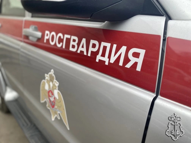 В ЧЕЛЯБИНСКОЙ ОБЛАСТИ РОСГВАРДЕЙЦЫ ПОМОГЛИ НАЙТИ ПРОПАВШЕГО РЕБЕНКА