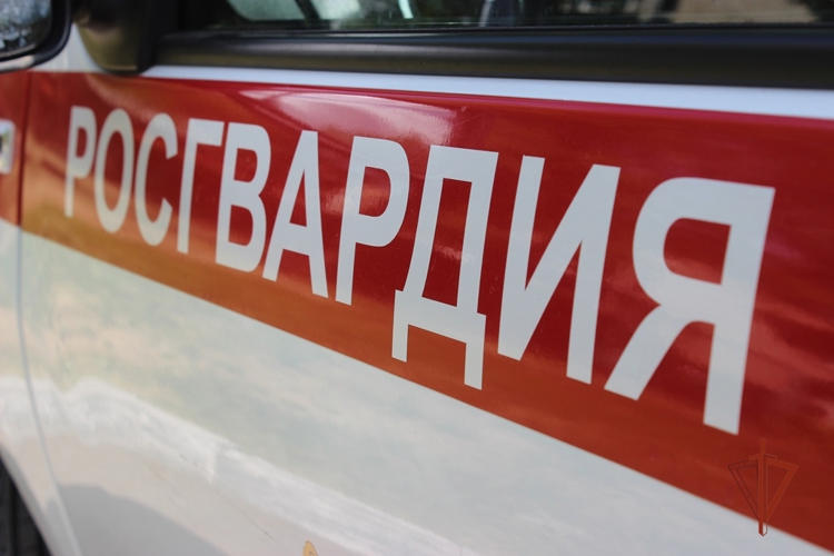 В ЧЕЛЯБИНСКЕ РОСГВАРДЕЙЦЫ ЗАДЕРЖАЛИ ПОДОЗРЕВАЕМЫХ В КРАЖЕ СПОРТИВНОЙ ОДЕЖДЫ